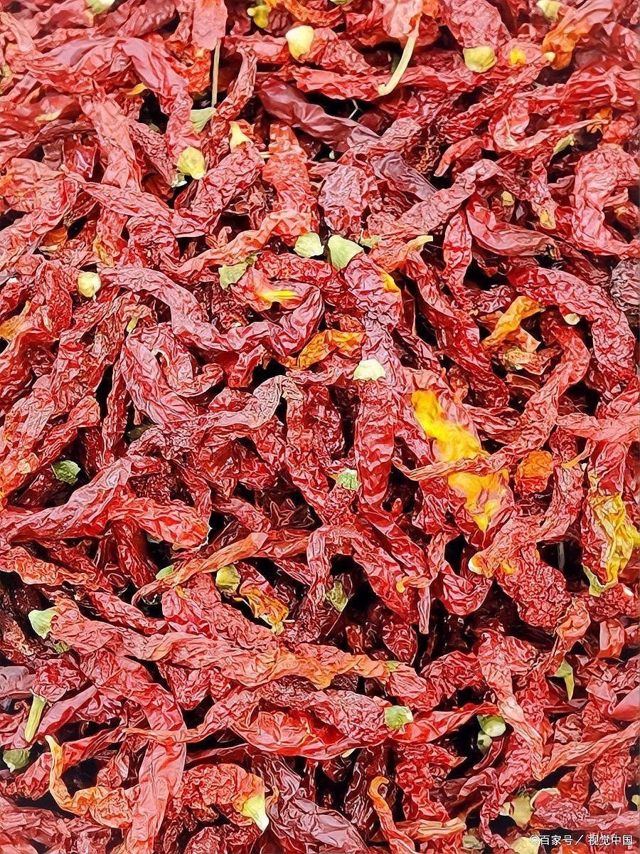 各種干辣椒品種和特點