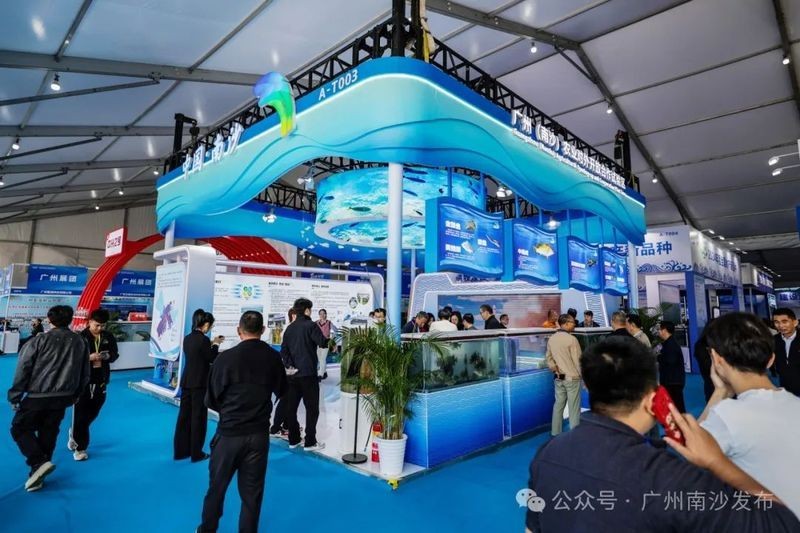 廣州觀賞魚金龍魚繁殖