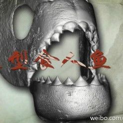 巨型食人魚國語免費(fèi)觀看