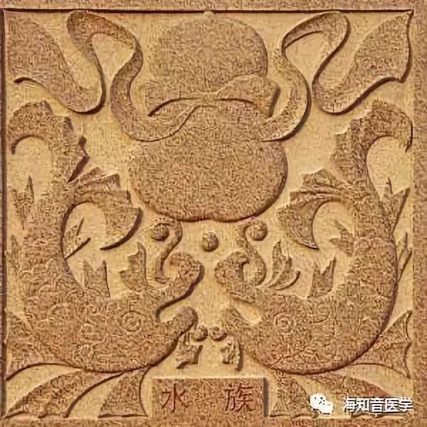 吉印水族是什么民族