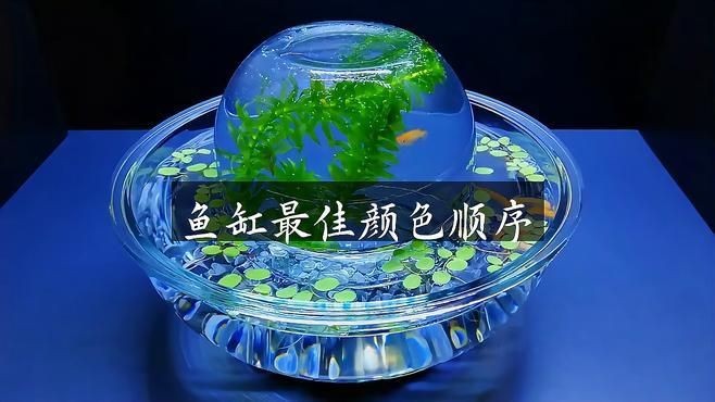 久鼎魚缸最建議買的三個顏色