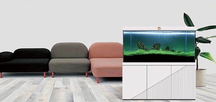 南通魚缸批發市場