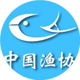 和興龍魚文建強