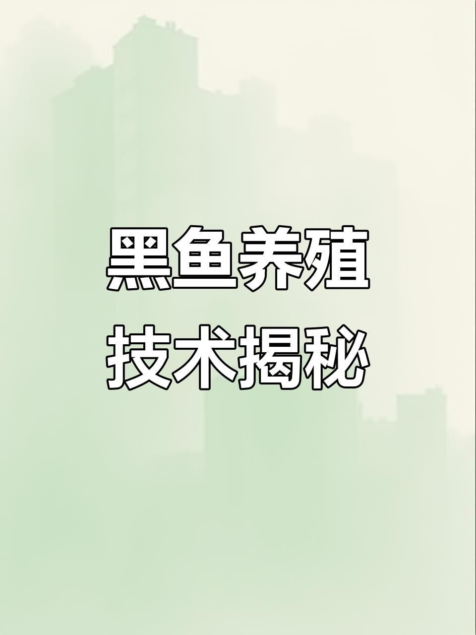 合作養黑魚可靠嗎
