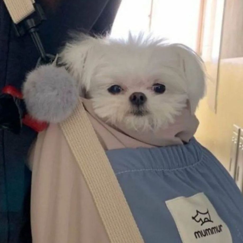 搞笑辣椒順口溜