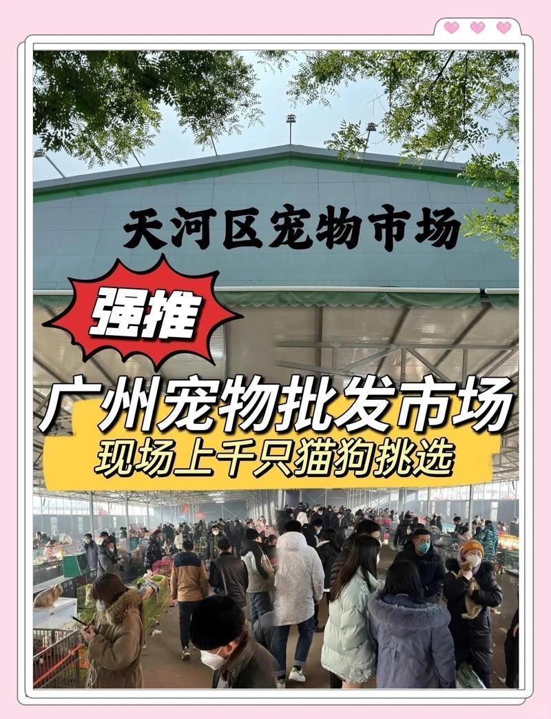 廣州最出名三個寵物市場