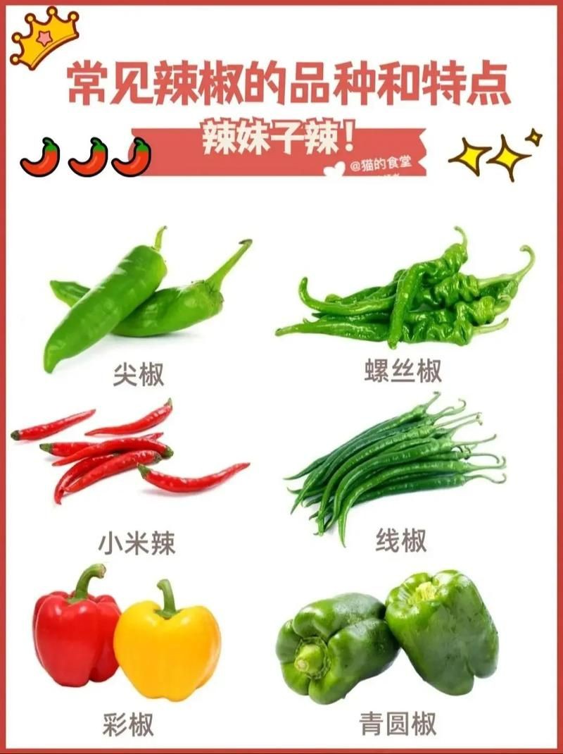 各種辣椒圖片