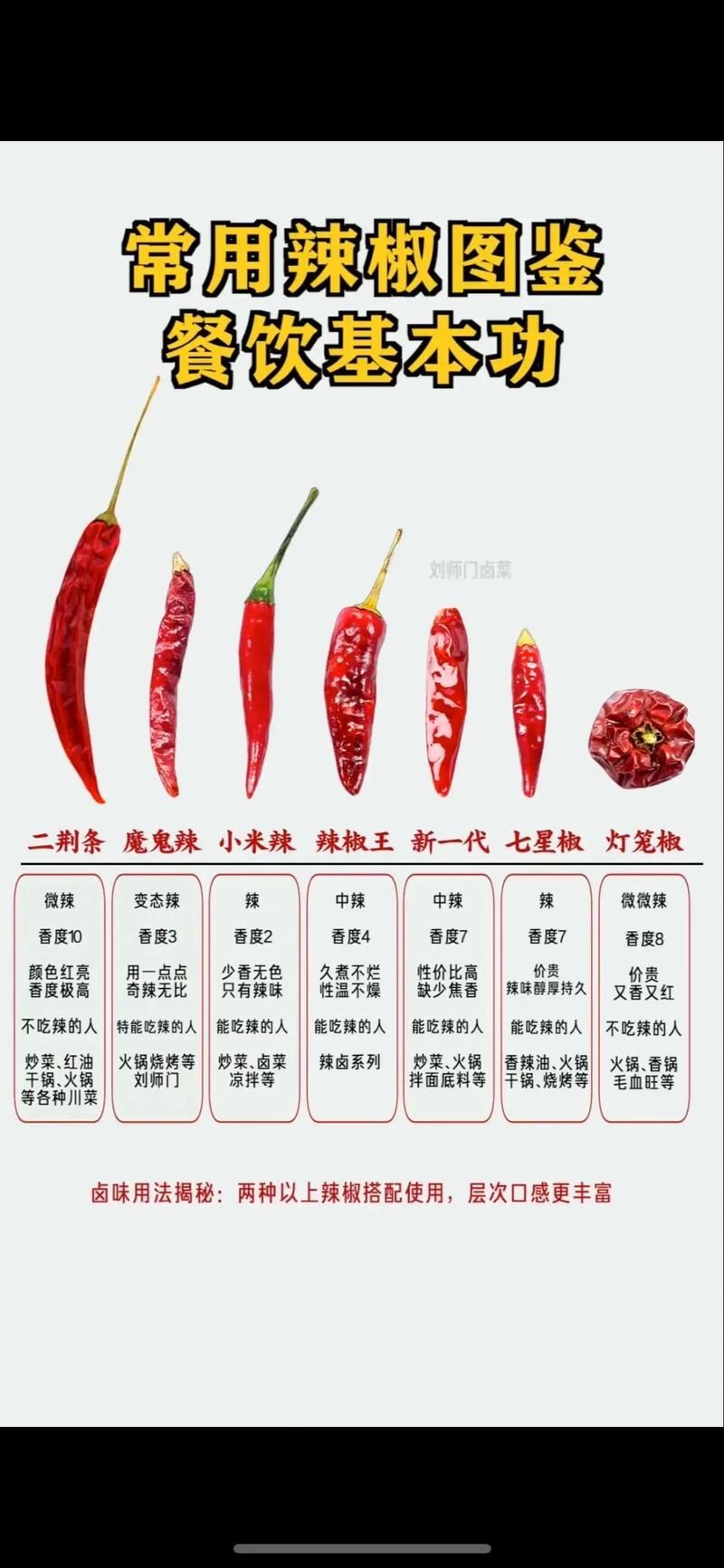 各種辣椒圖片