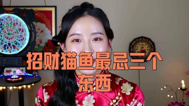 養招財貓魚需要注意什么