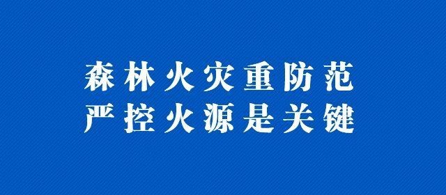 麗水龍魚店