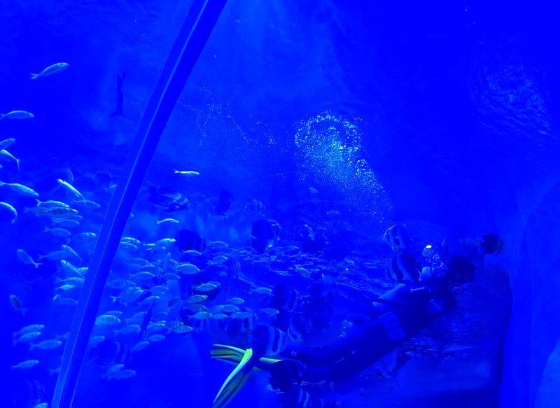 南陽水族店