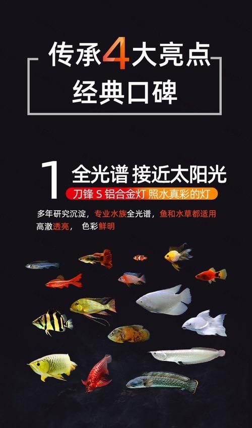 吉印水族箱燈圖片
