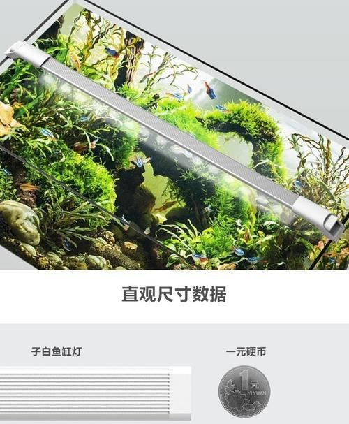 吉印水族箱燈圖片