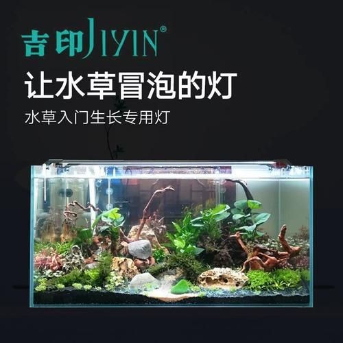 吉印水族箱燈圖片