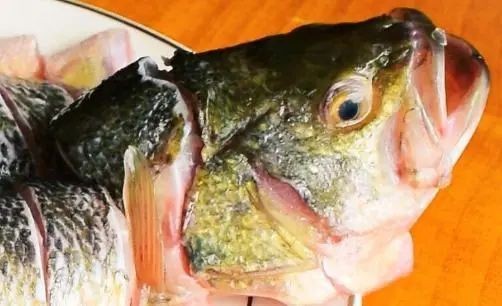 海刀魚為何不建議吃