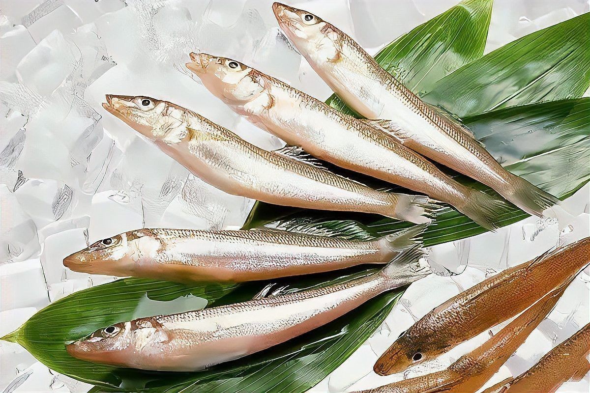 今年刀魚的價格