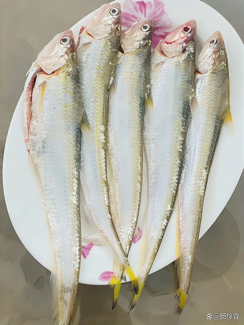 今年刀魚的價格