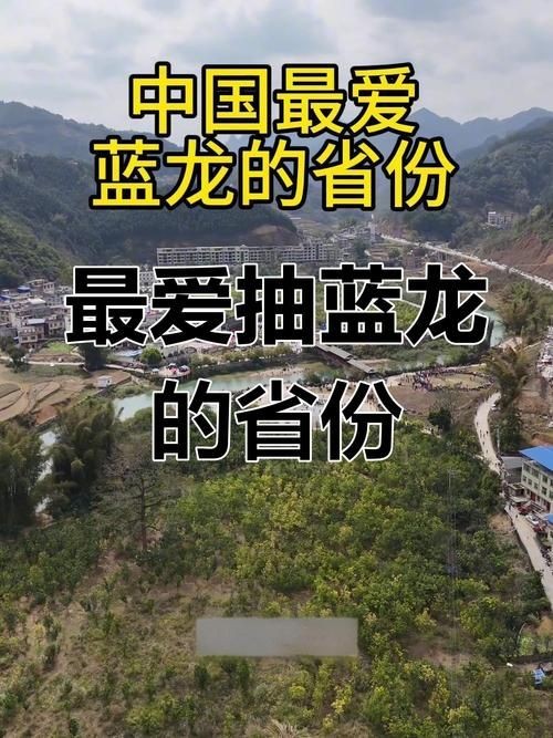 廣西藍(lán)龍一條真實(shí)圖片