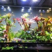 喀什水族館