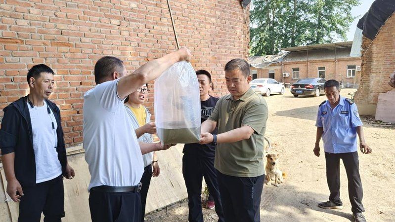 建鯉是鯉魚還是鯉魚