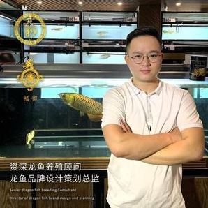 古典龍魚和紅龍那種好