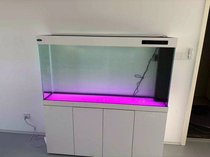 漢霸魚缸建議買嗎