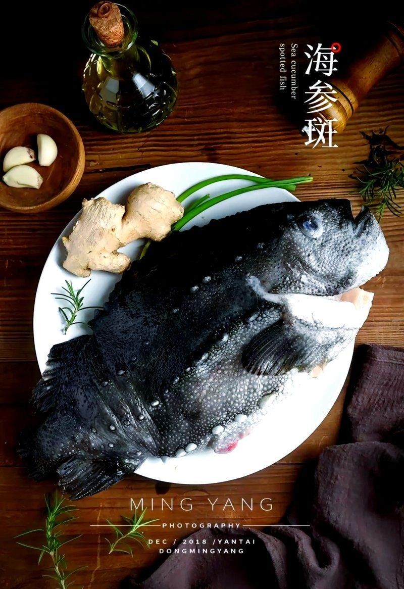 海參斑魚