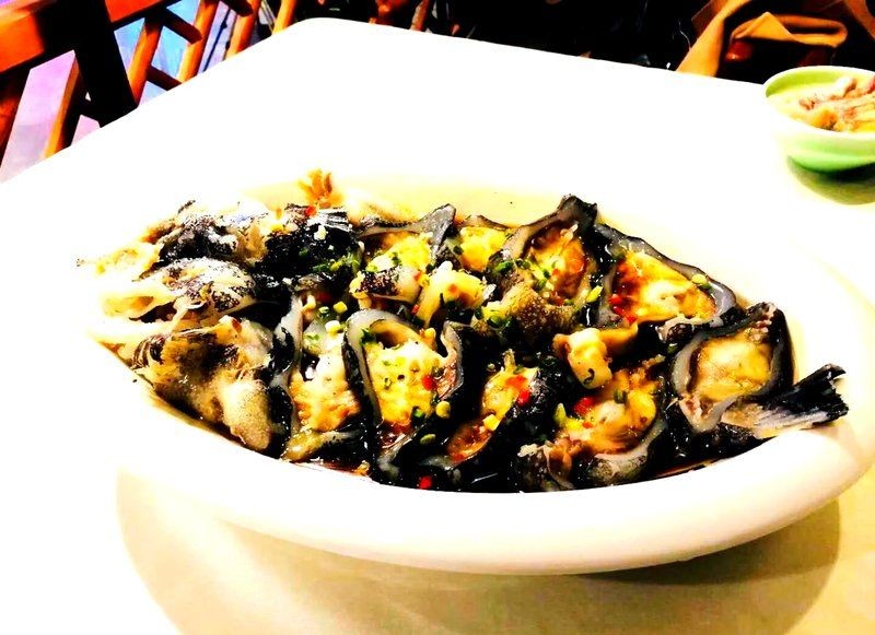 海參斑魚