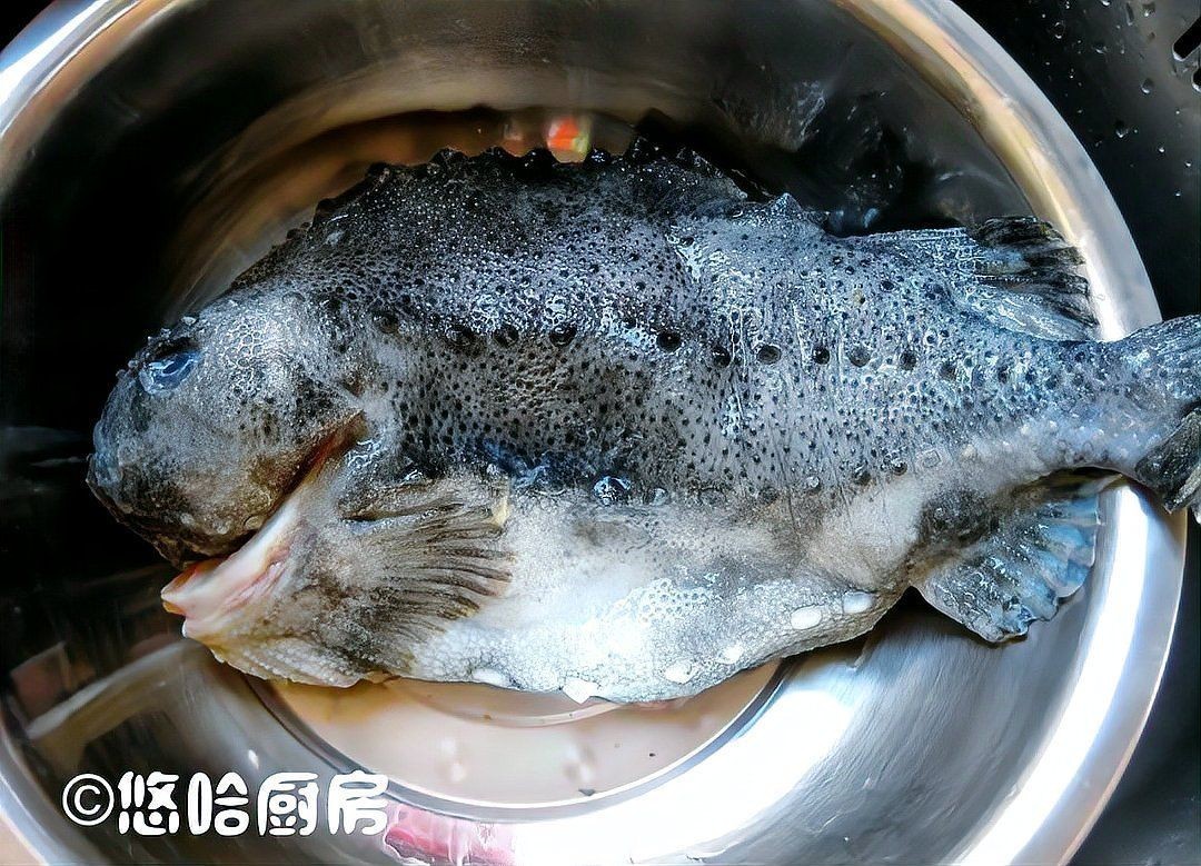 海參斑魚