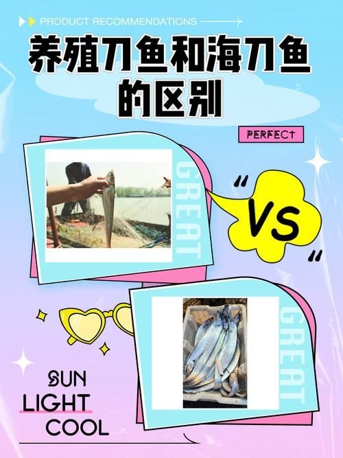 江刀和海刀圖片對比