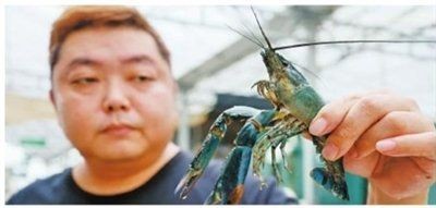 廣東珠海斗門區的鄉村振興