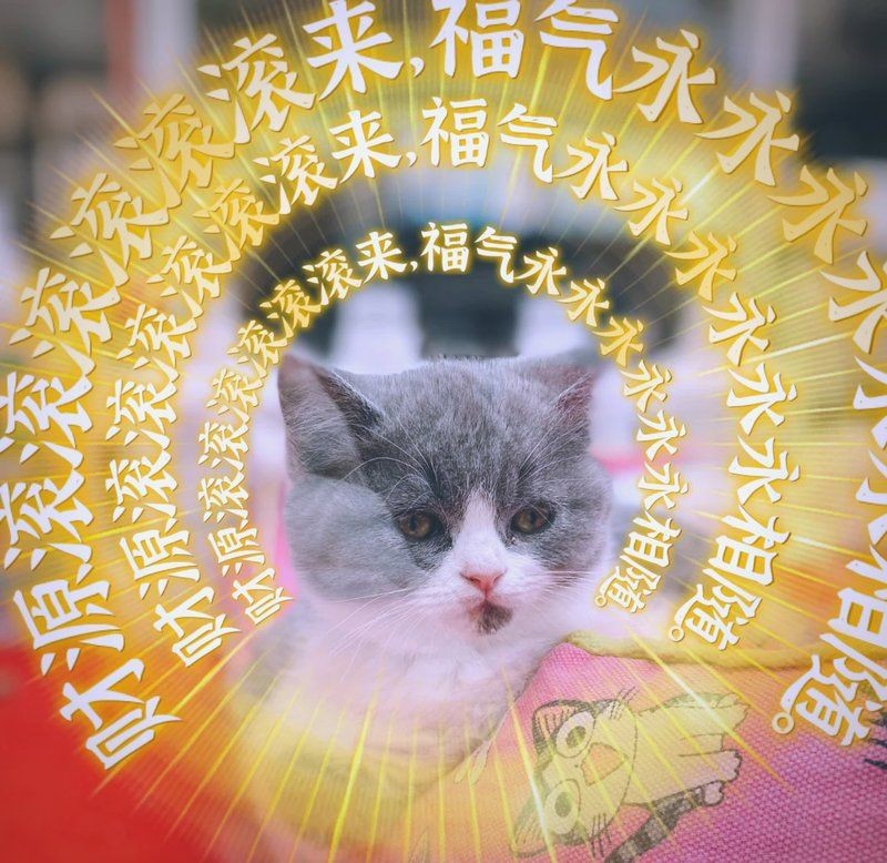 唐山魚缸批發市場