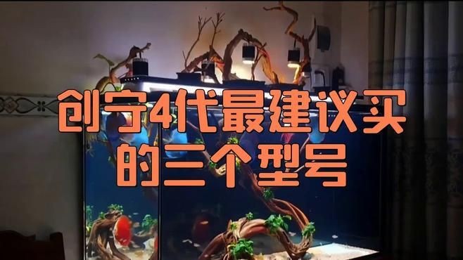 光特億創(chuàng)寧水泵性價比哪個高