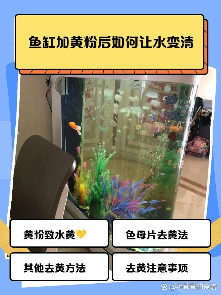 加了黃粉不換水可以嗎