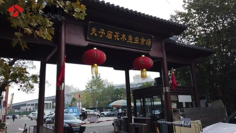 和尚鸚鵡現在合法了嗎