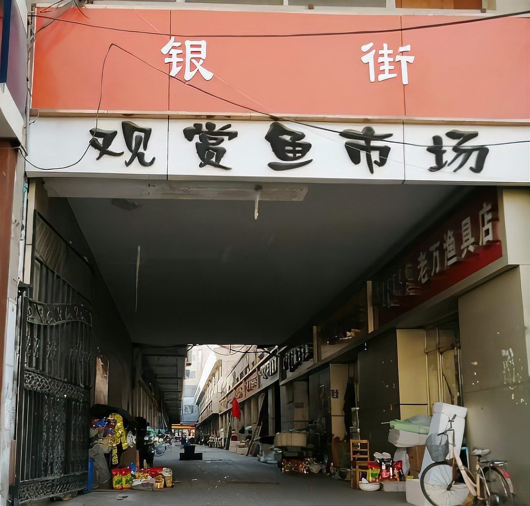 呼倫貝爾水族批發市場
