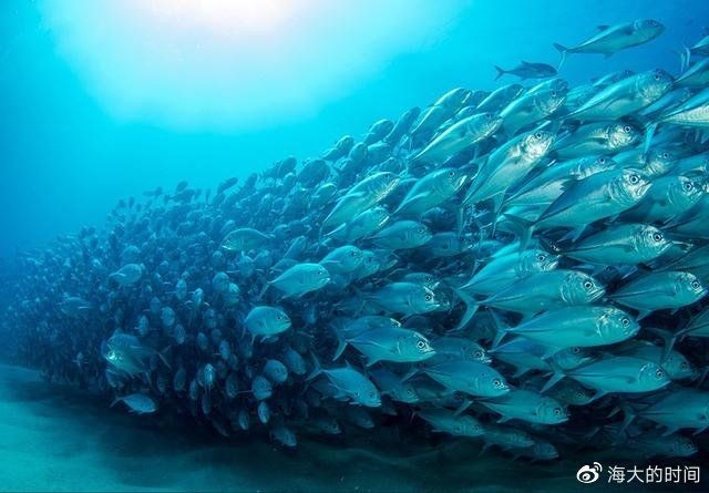 海上通全國各漁場分布