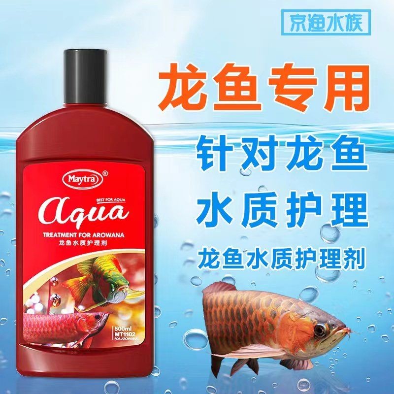 1～2厘米銀龍魚苗