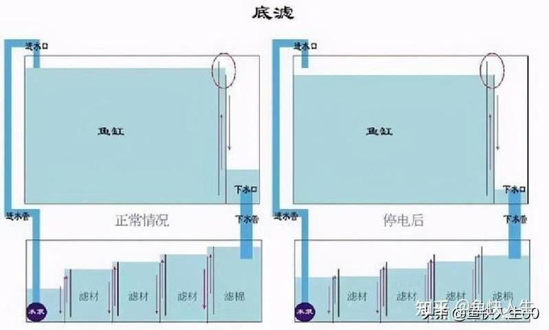 九鼎魚缸過濾系統圖詳細詳解 九鼎魚缸過濾系統圖詳細詳解 龍魚百科 第9張