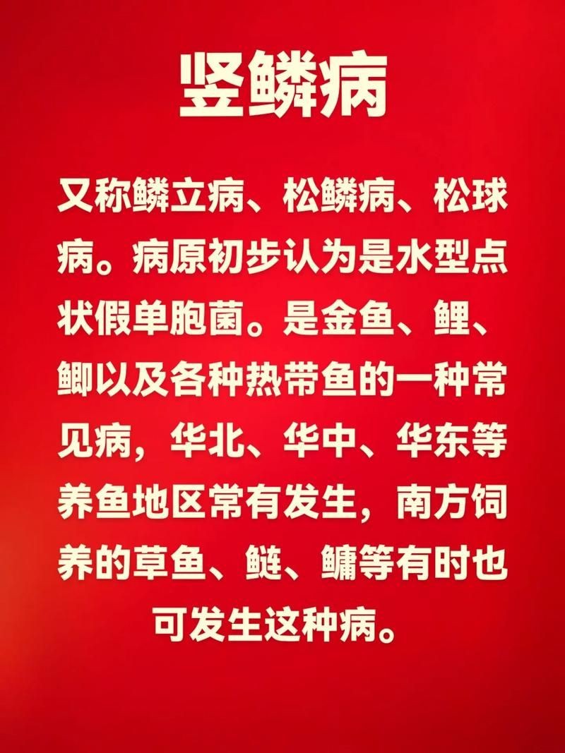 豎鱗病圖片