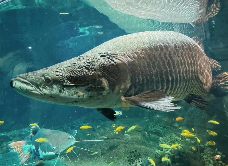 嘉興水族館