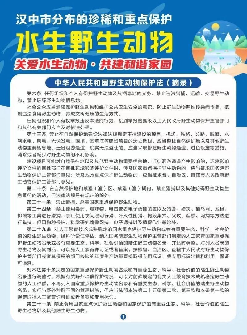 國家一二級保護野生魚類大全
