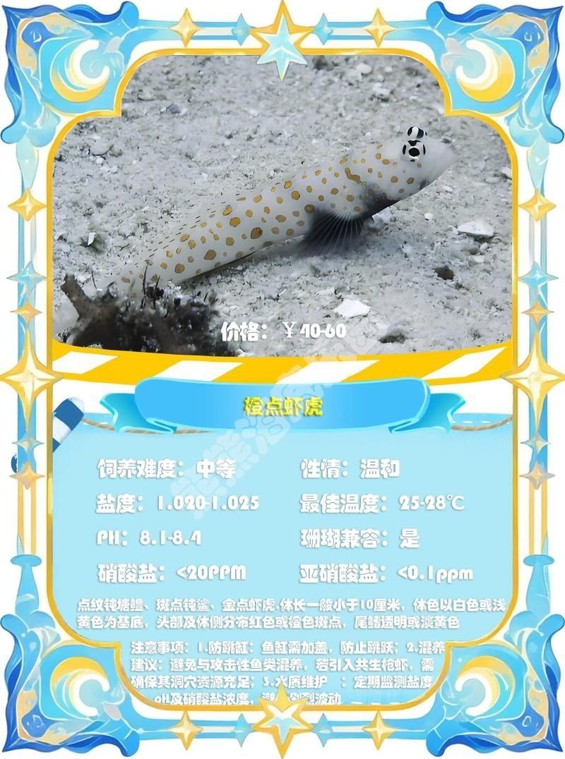 巨型蝦虎魚圖片