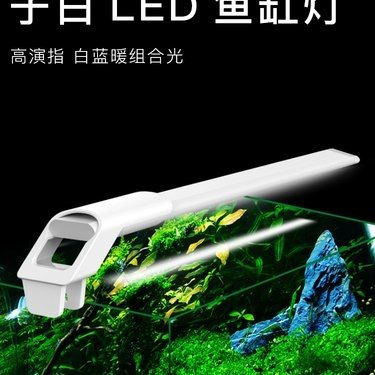 吉印水族排名一覽表