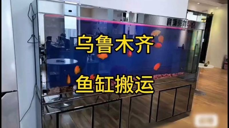 烏魯木齊魚缸定做