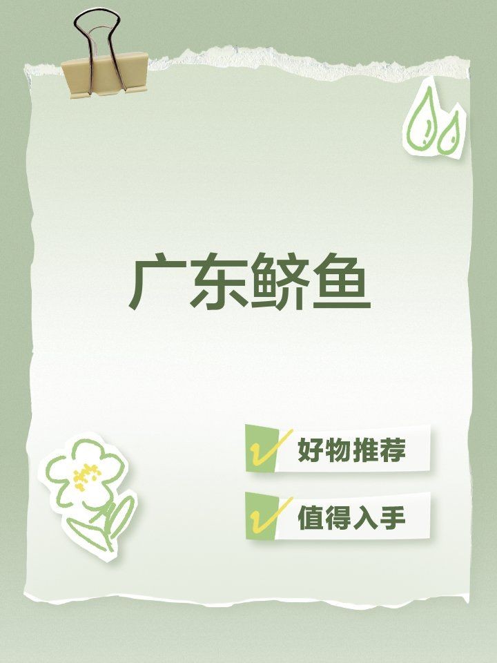 廣東鱭魚的做法
