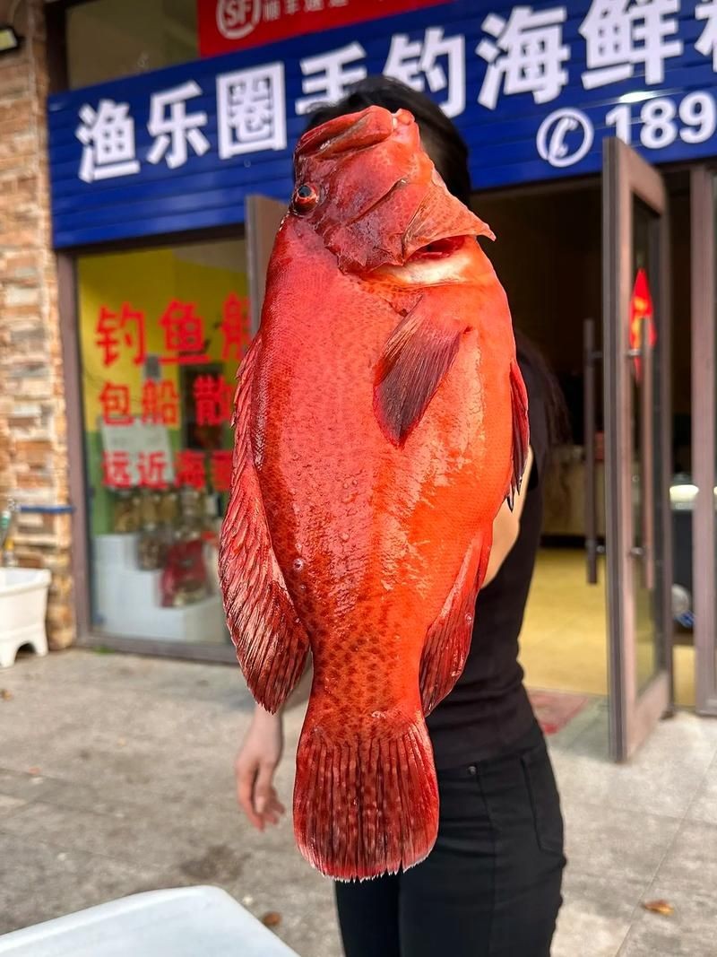紅色的魚有哪幾種圖片