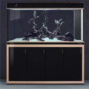 加盟魚缸品牌大全