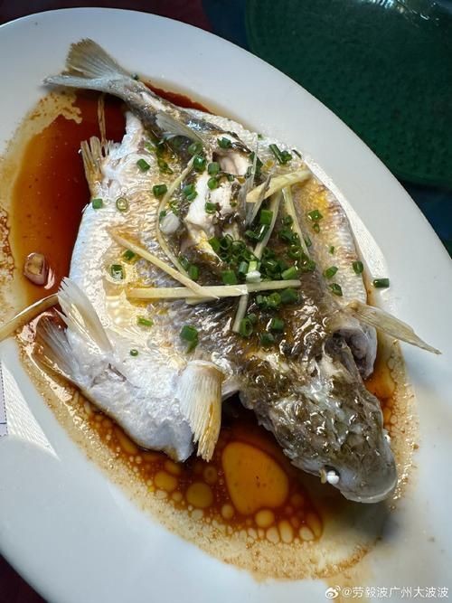 廣東鱭魚圖片