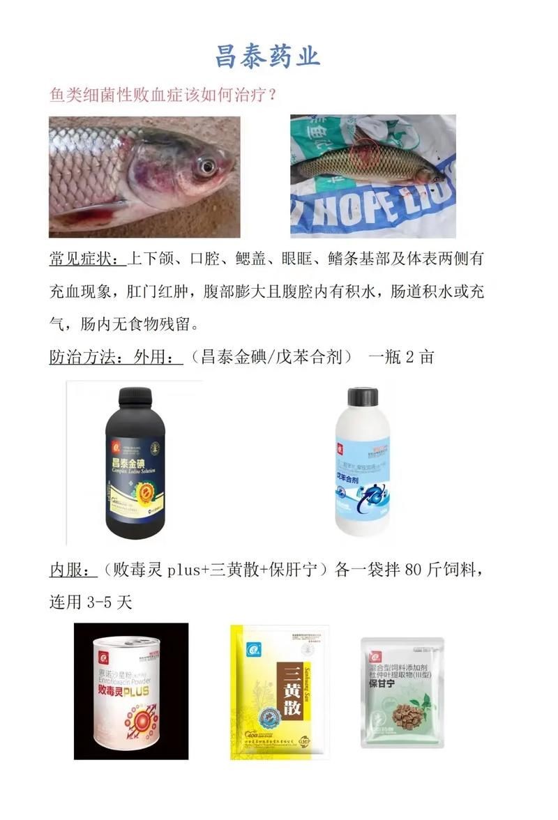 海水魚細菌感染癥狀圖片